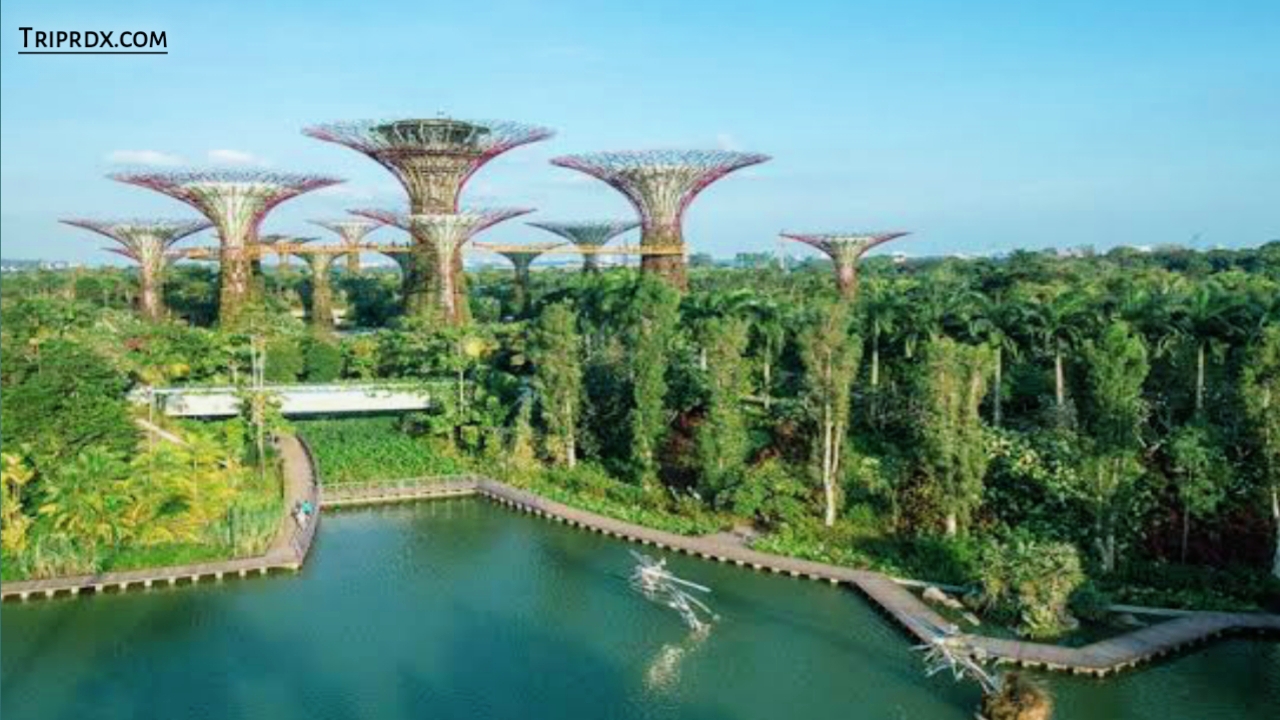 Best places to visit in Singapore, Singapore, Gardens by the Bay