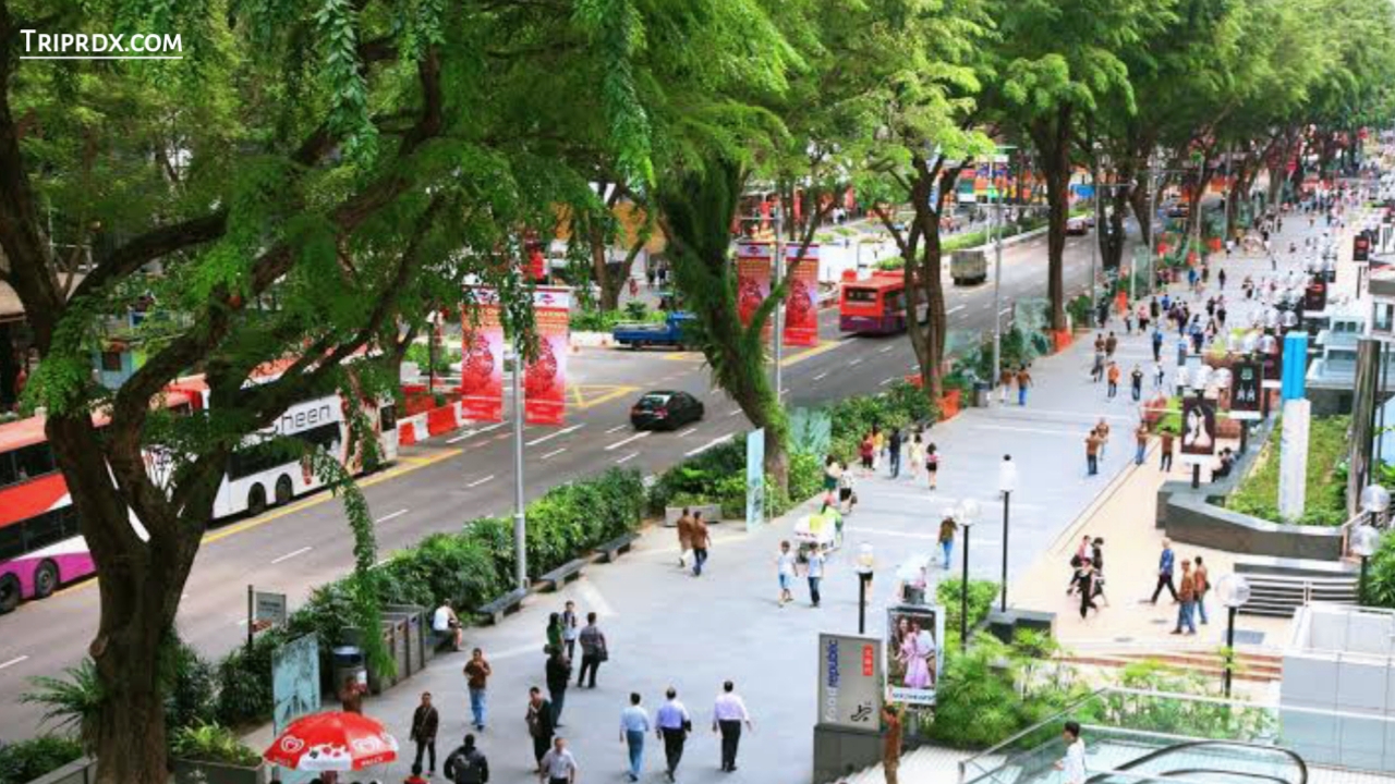 Best places to visit in Singapore, Singapore, Orchard Road