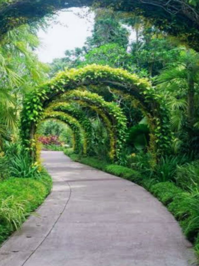 Best Places To Visit In Singapore Triprdx