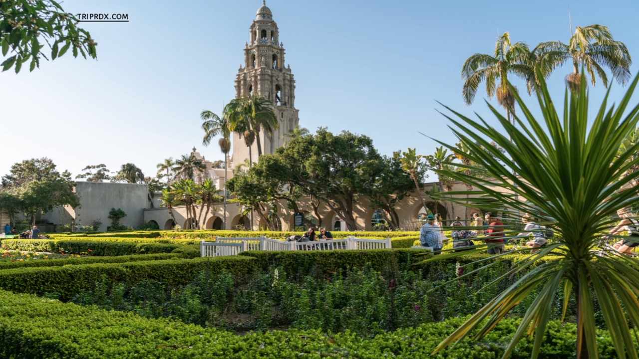 Best places to visit in California with Family, California, San Diego Zoo