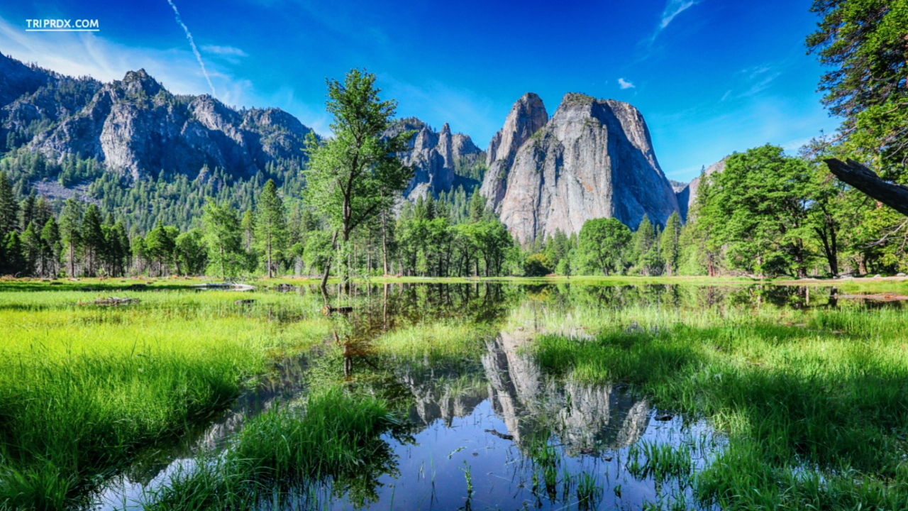 Best places to visit in California with Family, California, Yosemite National Park