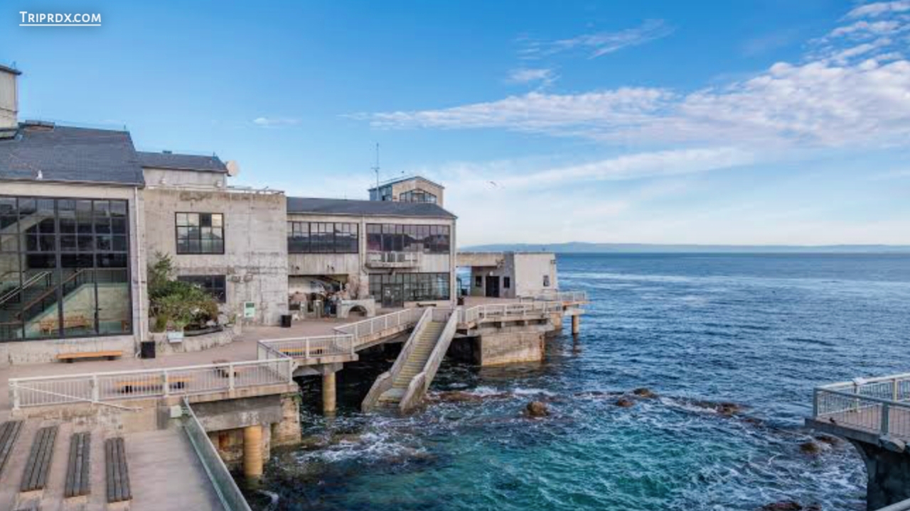 Best places to visit in California, California, Monterey bay Aquarium