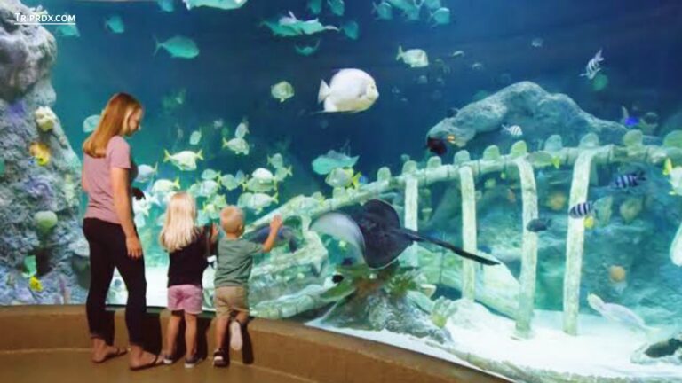 Kansas city Zoo Aquarium