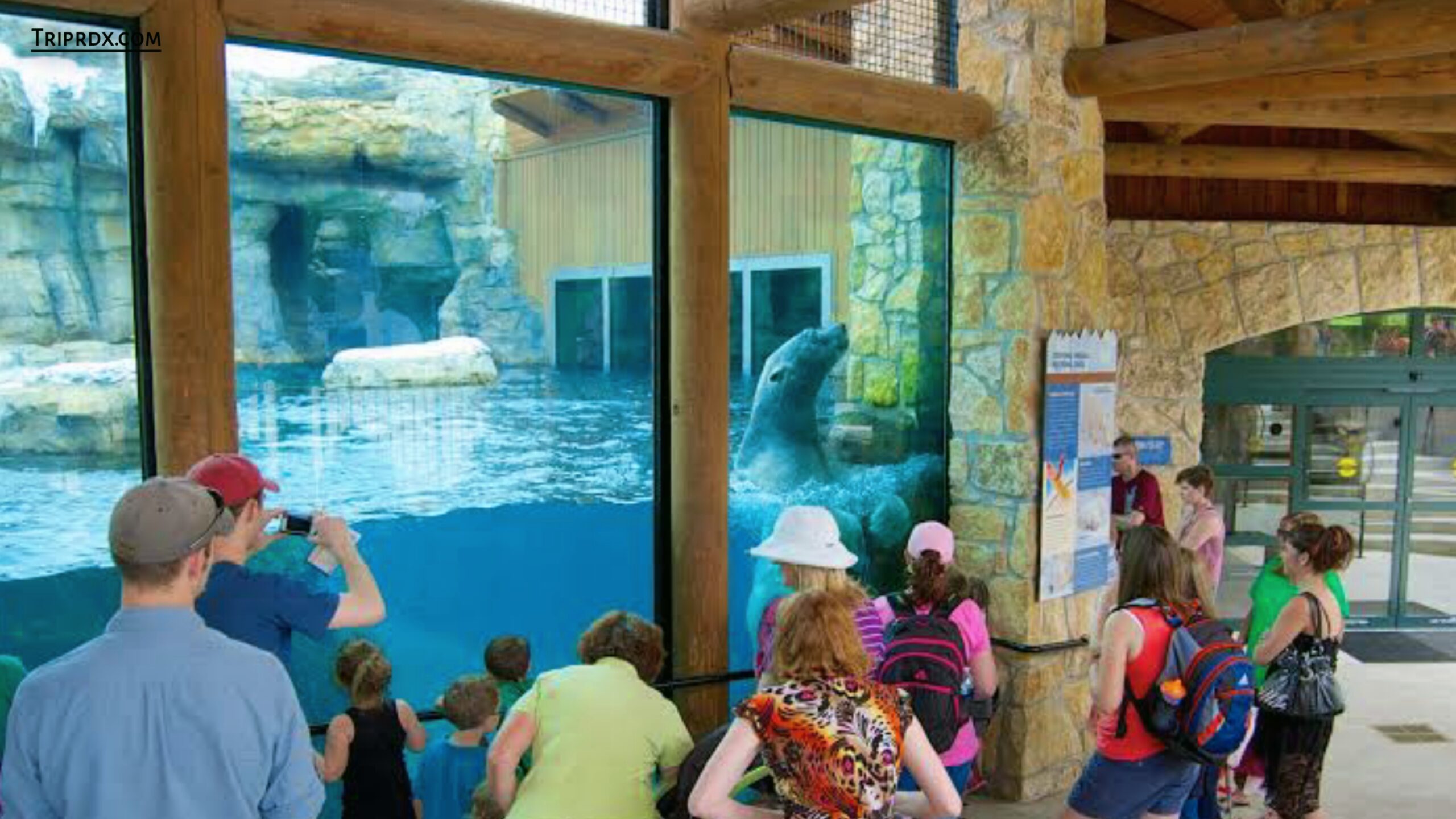 Interactive Experiences, Kansas city Zoo
