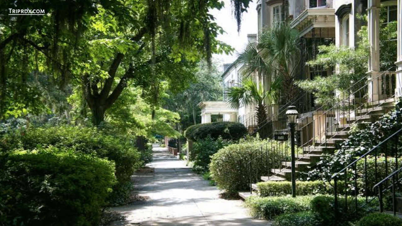 Best destinations in USA for couples, Savannah, Georgia: Historic Elegance and Romantic Ambiance