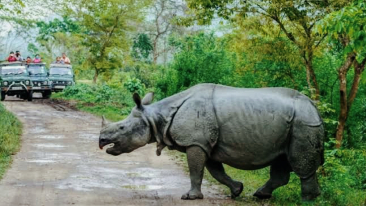 Indian Tourist places in Hindi, Kaziranga national park