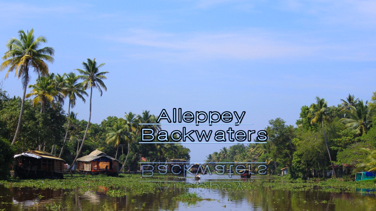 Alleppey Backwaters, Alleppey Backwaters in Hindi