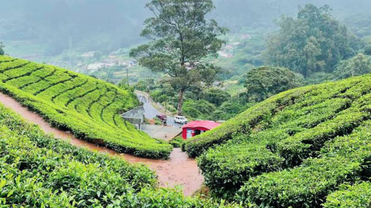 Places to Visit in Ooty, Places to Visit in Ooty in Hindi